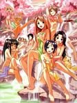 pic for love hina